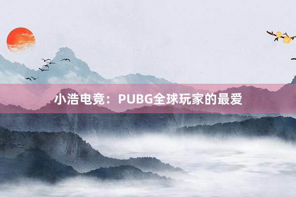 小浩电竞：PUBG全球玩家的最爱