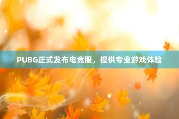 PUBG正式发布电竞服，提供专业游戏体验